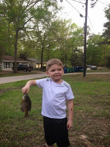 Meet your Posher, Stewart